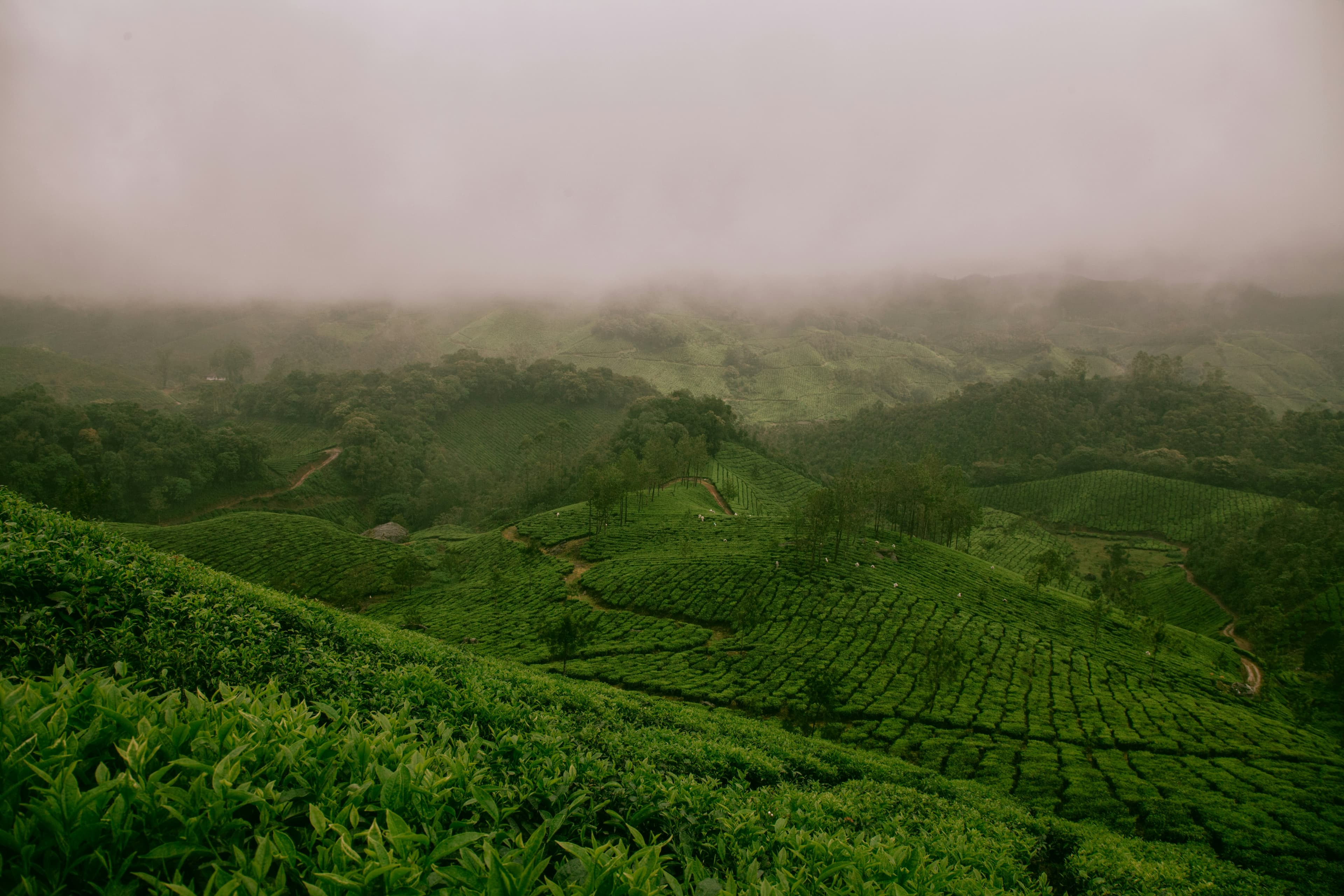 Saptara landscape